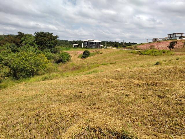 #1794 - Terreno em condomínio para Venda em Ibiúna - SP - 3