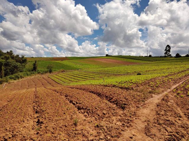 #1809 - Área para Incorporação para Venda em Ibiúna - SP - 2