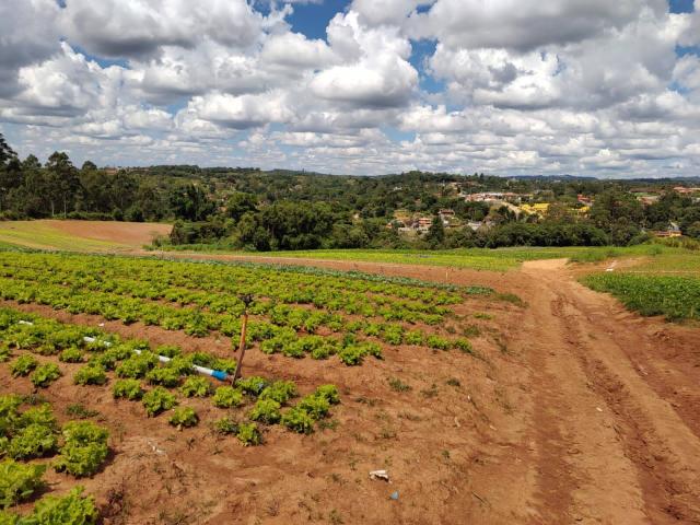 #1809 - Área para Incorporação para Venda em Ibiúna - SP - 1