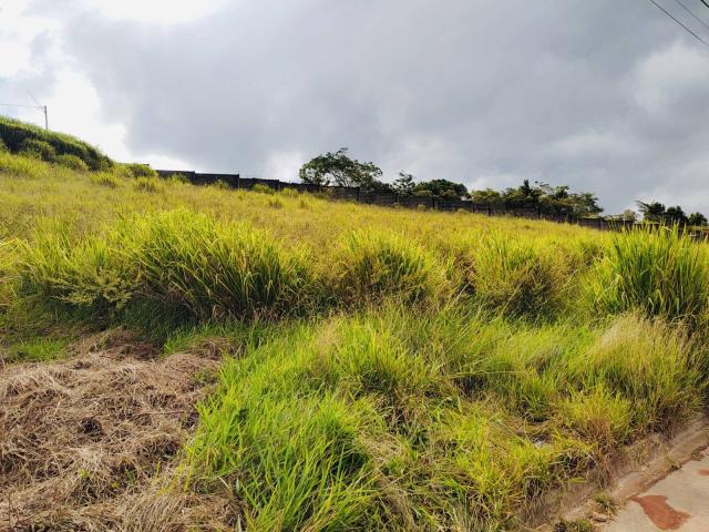 #1810 - Terreno para Venda em Ibiúna - SP - 2