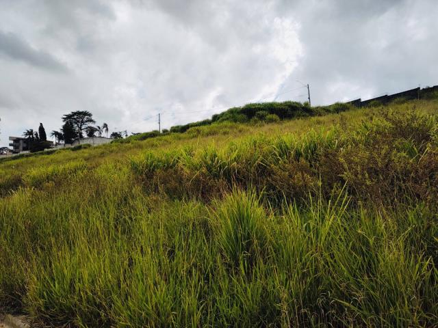 #1810 - Terreno para Venda em Ibiúna - SP - 3