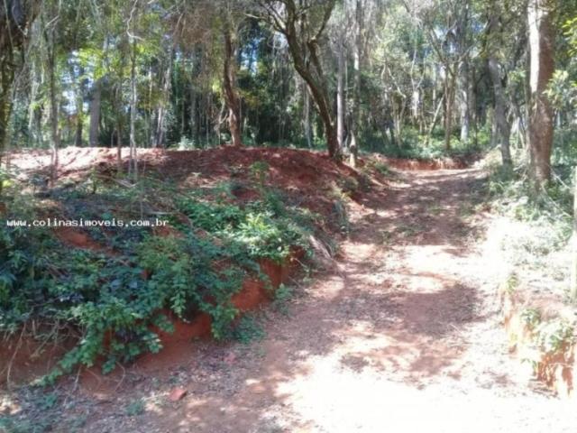 #61884 - Terreno em condomínio para Venda em Ibiúna - SP - 2