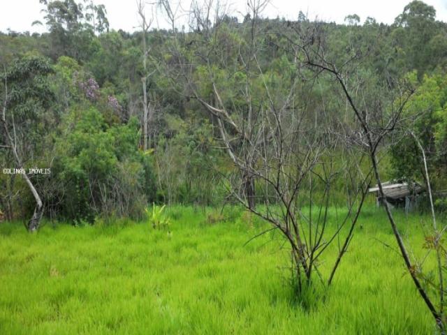 #te00042 - Terreno para Venda em Ibiúna - SP - 1