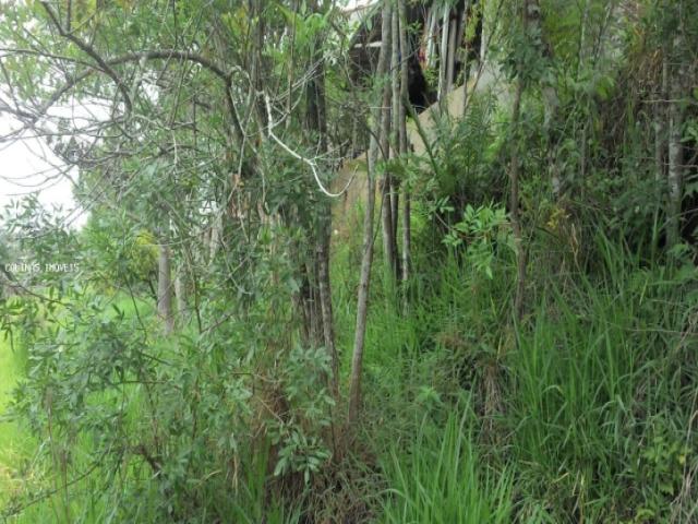 #te00042 - Terreno para Venda em Ibiúna - SP - 3