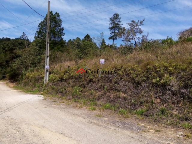 #te00084 - Terreno para Venda em Ibiúna - SP - 1