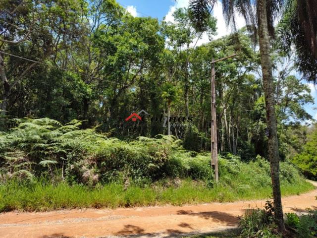 #te00087 - Terreno para Venda em Ibiúna - SP - 1